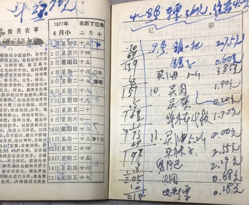 救国BBS：一个时代的缩影与网民的集体记忆