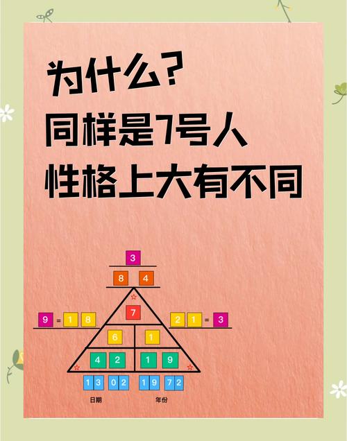 七个人1.62到底指什么？深度解析让你一看就懂！