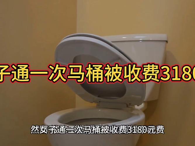 给马桶安投币装置费用多少钱？预算分析帮你省钱！