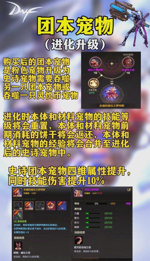 dnf宠物怎么得划算？比较付费与免费利弊