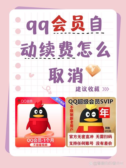 qq会员怎么退订(简单三步教你快速完成操作)