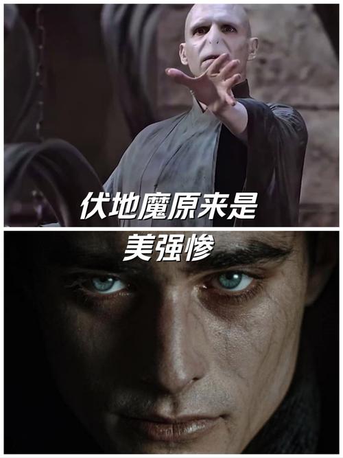 伏地魔什么意思简单解释一看就懂小技巧！