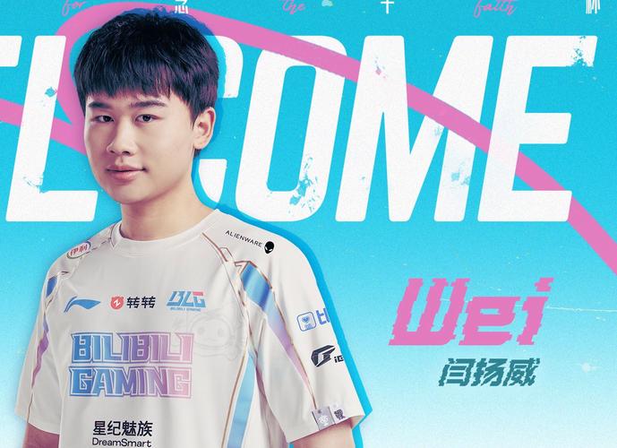 weiwei选手的战队作用有多大？揭秘他的团队协作秘诀！