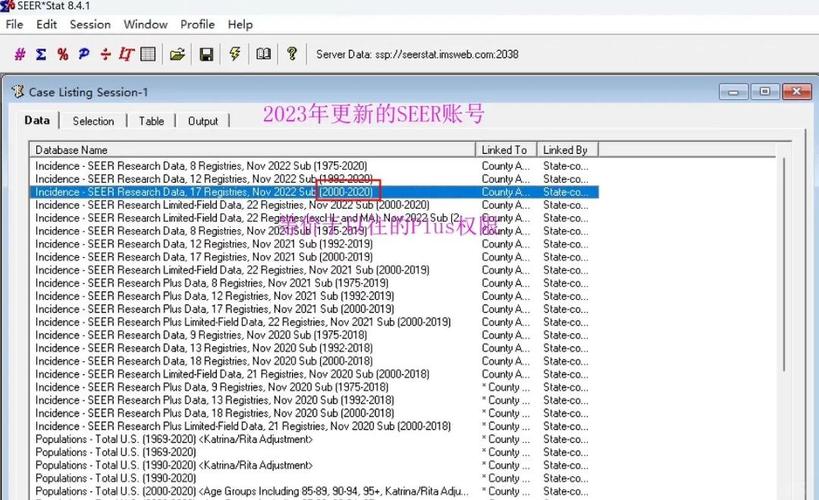 seer2.61高级技巧？掌握这几个贴士成果翻倍！