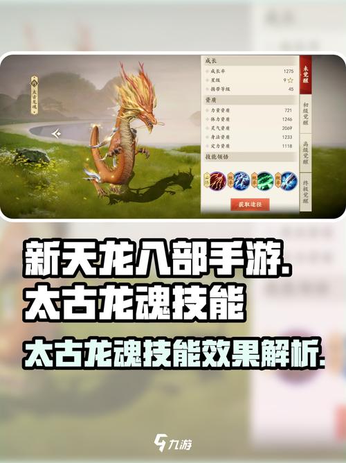 天龙八部太古龙魂玩法技巧？(高手分享高效升级经验)