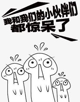 分享我和我小伙伴惊呆了的真实故事(完整经历回顾)