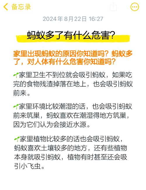 长期不用车蚂蚁泛滥怎么办？这些简单方法轻松解决！