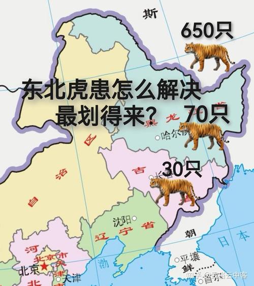 最新老虎地图数据包使用技巧分享(新手必看的操作指南！)