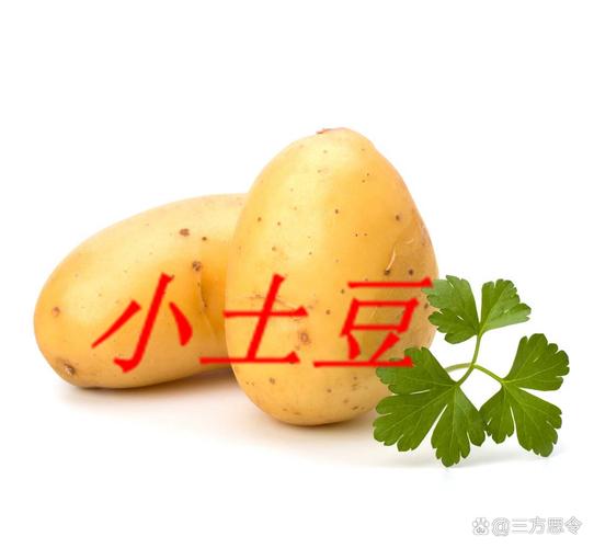 南方小土豆子什么意思？北方人这样叫南方游客！