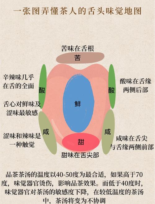 舌根对什么味道最敏感？日常测试方法简单学(自己动手轻松掌握)