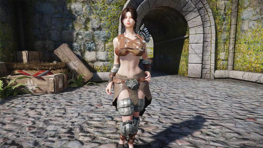 上古卷轴5最新mod小白怎么玩？手把手教你实用mod整合攻略！