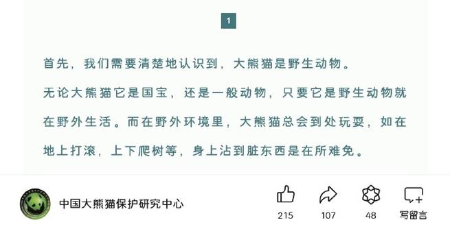 大熊猫喜欢爬树的原因是什么？这些关键因素你知道吗？