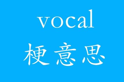 vocal什么意思怎么样用才对（真实例句一看就懂）