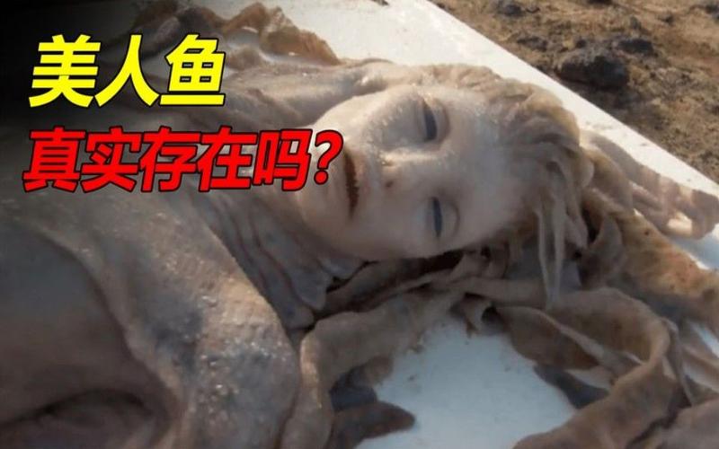 美人鱼实际是什么生物？科学家发现的3种现实依据！