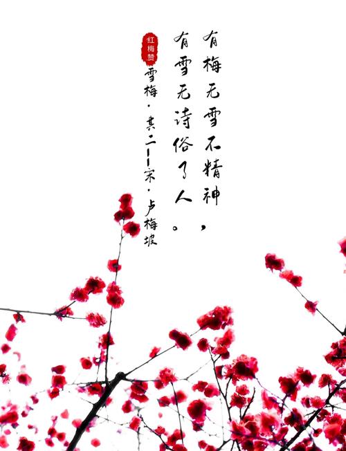 哪句诗是描写梅花的？3句必背古诗让你轻松记住！