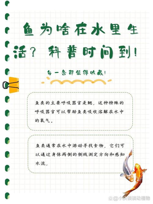为什么鱼在水中会喝水？想不到的答案在这揭晓！