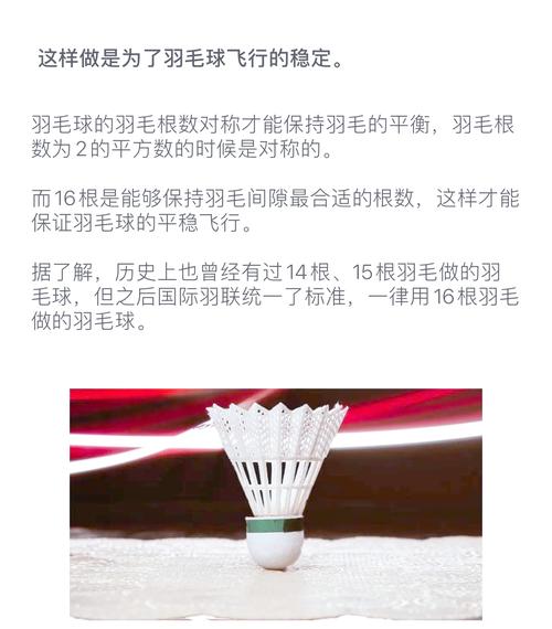 羽毛球多少根羽毛算合格？这个标准必须知道