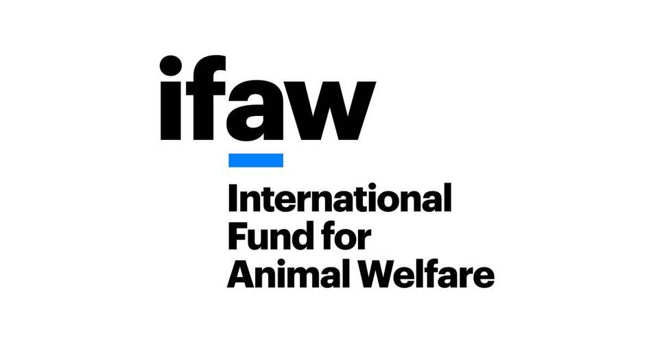 ifengaming怎么升级快？高手分享高效技巧方法！