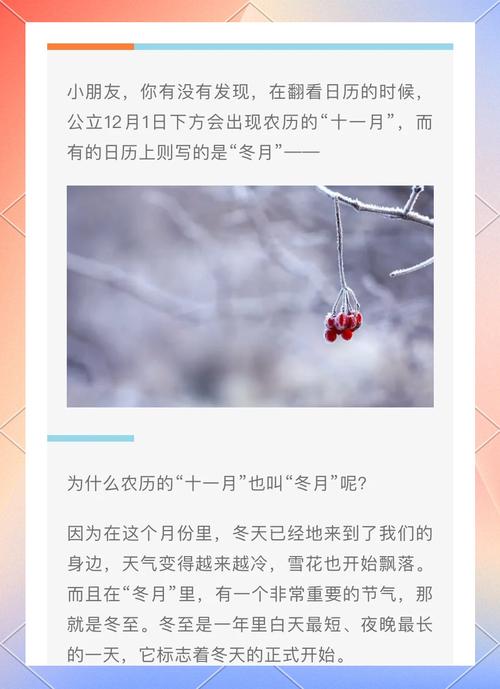 寒冬腊月是指哪几个月？小知识分享温暖过冬妙招！