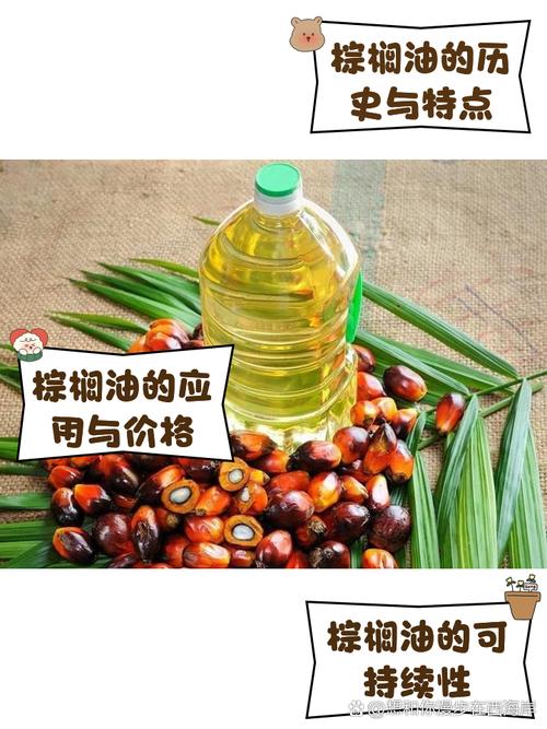 棕榈油产自哪里是玉米？油棕真相一文全解！
