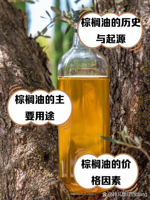 棕榈油产自哪里是玉米？油棕真相一文全解！