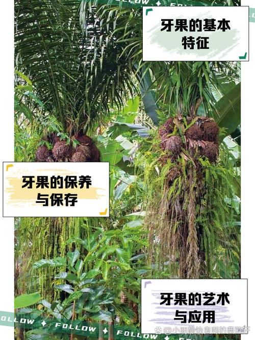 哪种水果被称为天然牙刷？教你用它预防蛀牙小妙招！