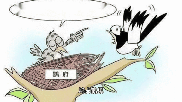 鸠占鹊巢的鹊究竟代表什么？(专家解读背后真相)