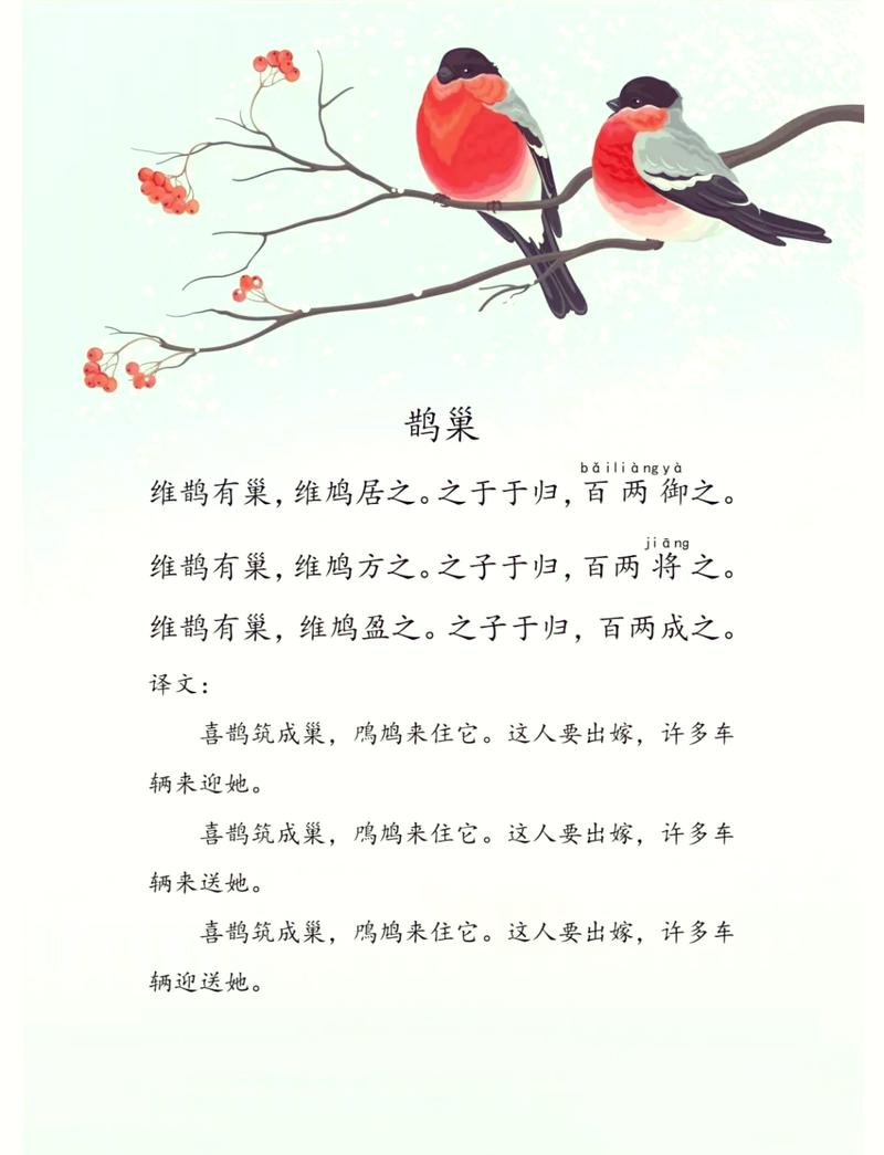 鸠占鹊巢的鹊究竟代表什么？(专家解读背后真相)