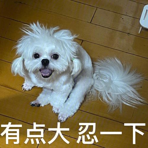 宝我的有点大你忍一下怎么破？教你轻松面对这情况