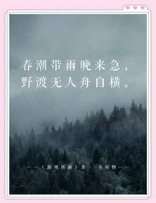 厨房的春潮带雨晚来急选什么工具好？对比3种常用产品帮你选！