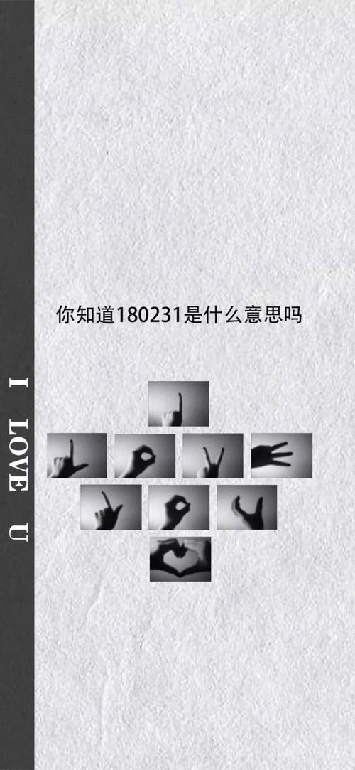 180231的意思是什么？一探究竟数字谜团奥秘