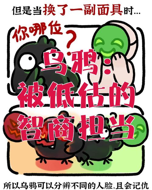 乌鸦智力超群被称作顶尖之一？(原因全在这里解答！)