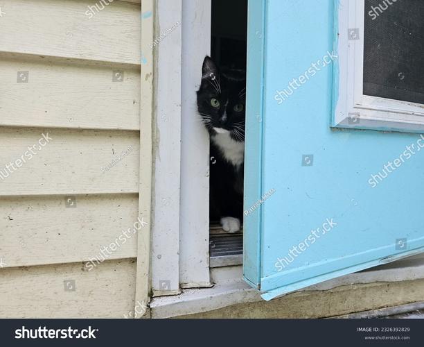 its a door able效果咋样？(真实体验分享好处)
