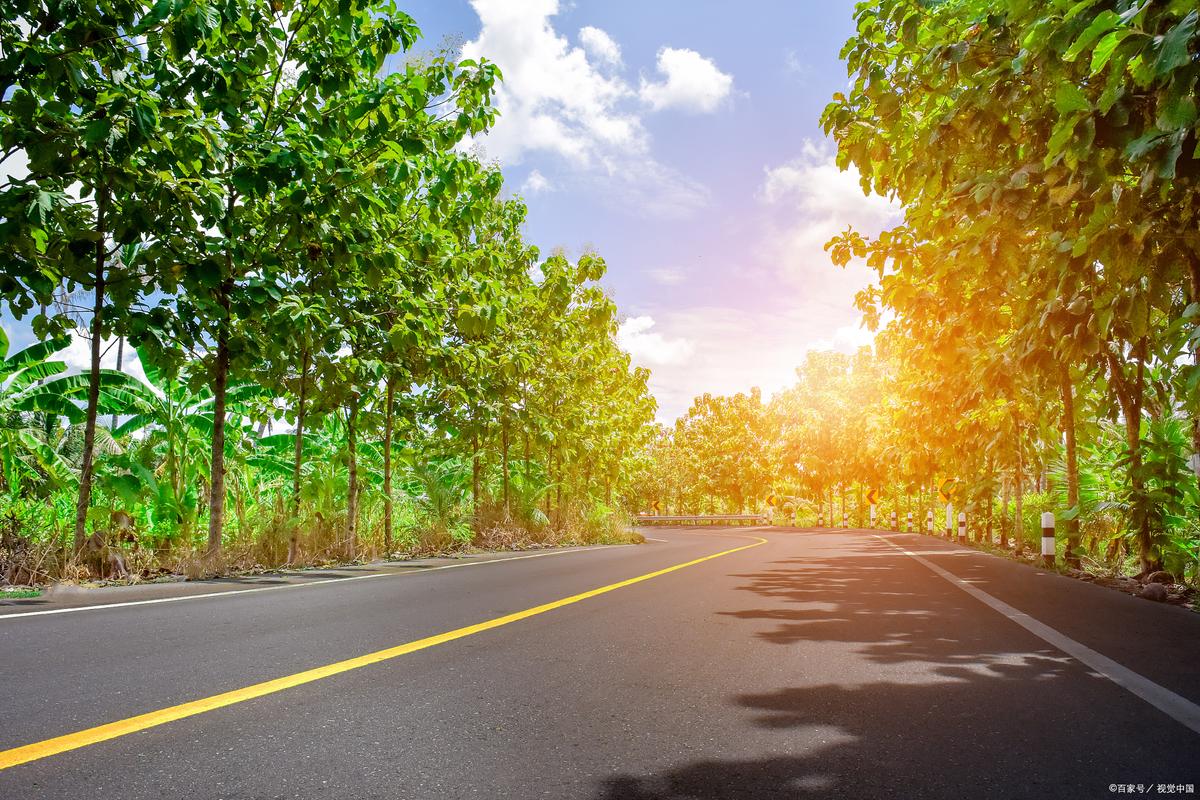 阳光大道是什么地方的道路？(揭秘起源故事出人意料！)