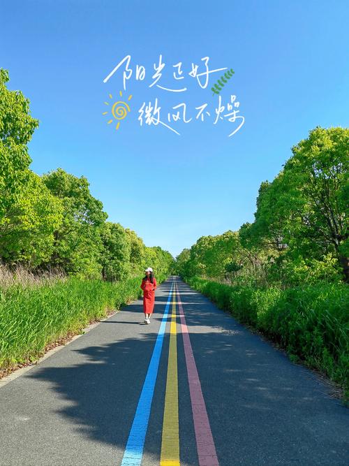 阳光大道是什么地方的道路？(揭秘起源故事出人意料！)