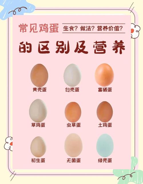 鸡蛋最好不要和哪种食物一起存放？(新手常犯4大存放错误需警惕！)