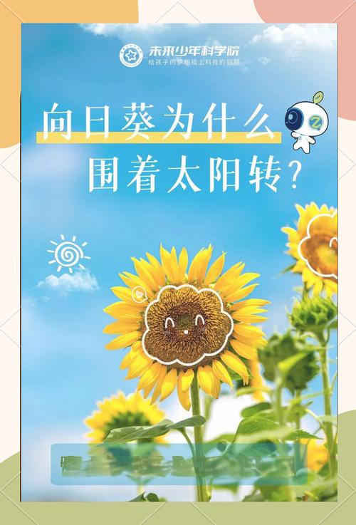 向日葵是否全天候随太阳转动？专家解答常见疑问！