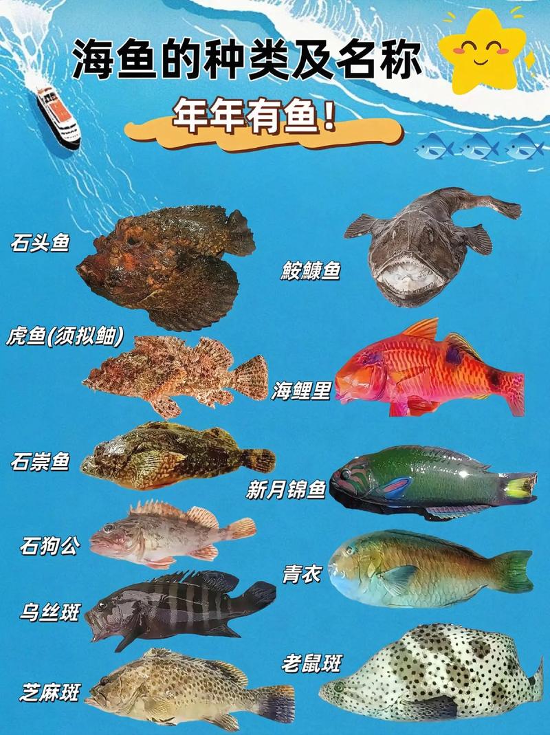 为什么说海鱼是正宗鱼？生活在海里的道理一看就懂！