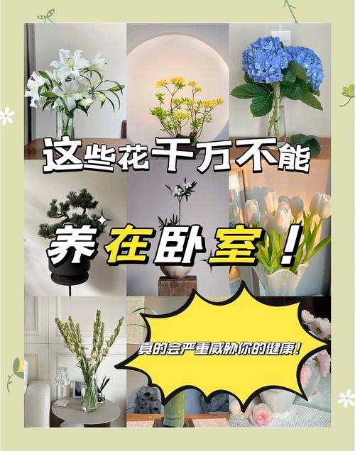 长期放卧室植物有危害吗？这几类盆栽千万别放床边！