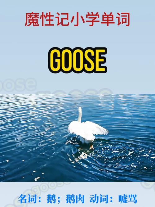 GOOSE GOOSE DUCK如何提高胜率？(专家分享必胜策略总结！)