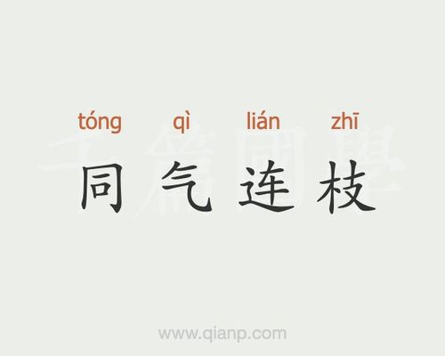 成语同气连枝指的是什么？看古人常用它形容这两类事物