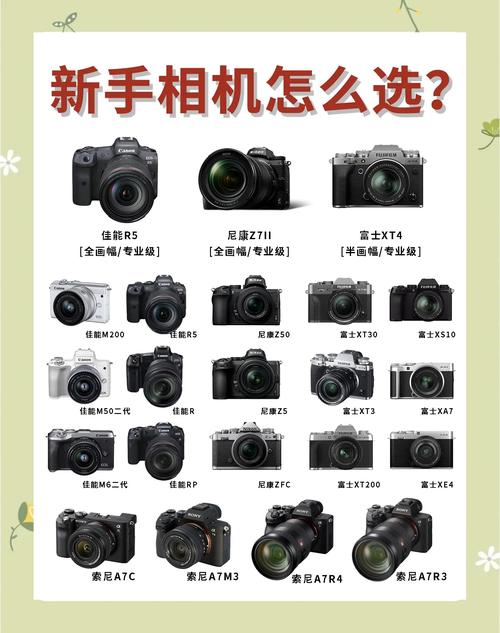 数码相机怎么选(新手必备选购指南)