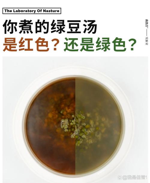 为什么煮出来的绿豆汤蚂蚁庄园煮法选择哪家好？对比这几个实用方法