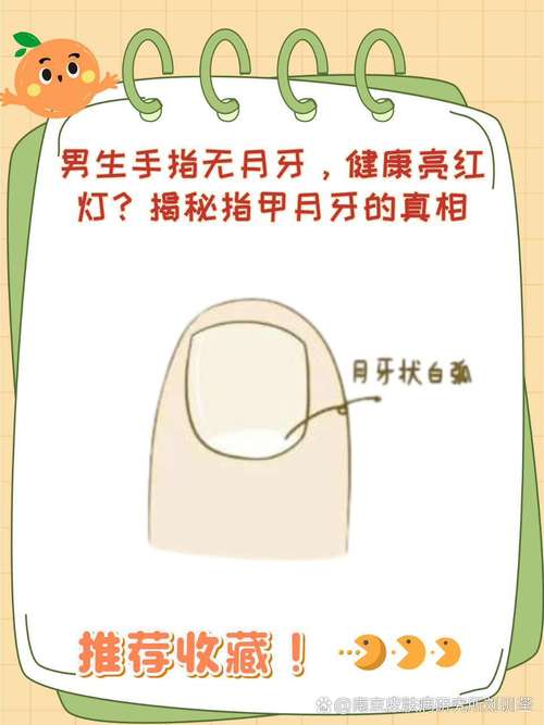 月牙少代表不健康吗？别慌！科学解释指甲秘密