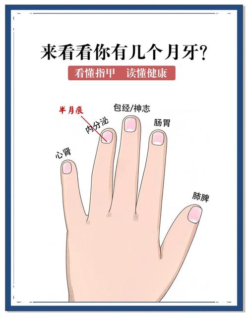月牙少代表不健康吗？别慌！科学解释指甲秘密