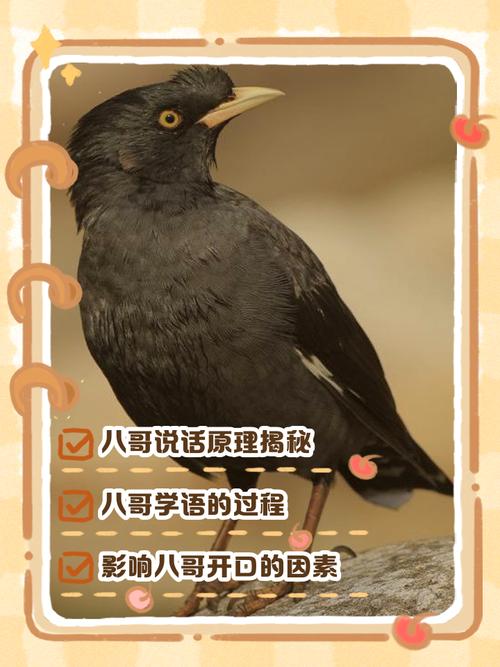 为什么会觉得自己说话的录音很假？这3个方法让声音更自然真实！