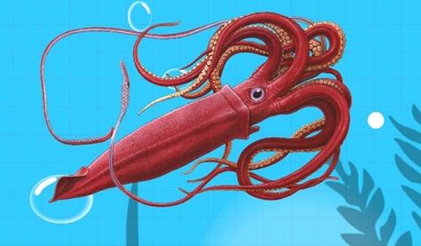 拥有10只触手的海洋生物怎么养？5个小技巧教你轻松入门！