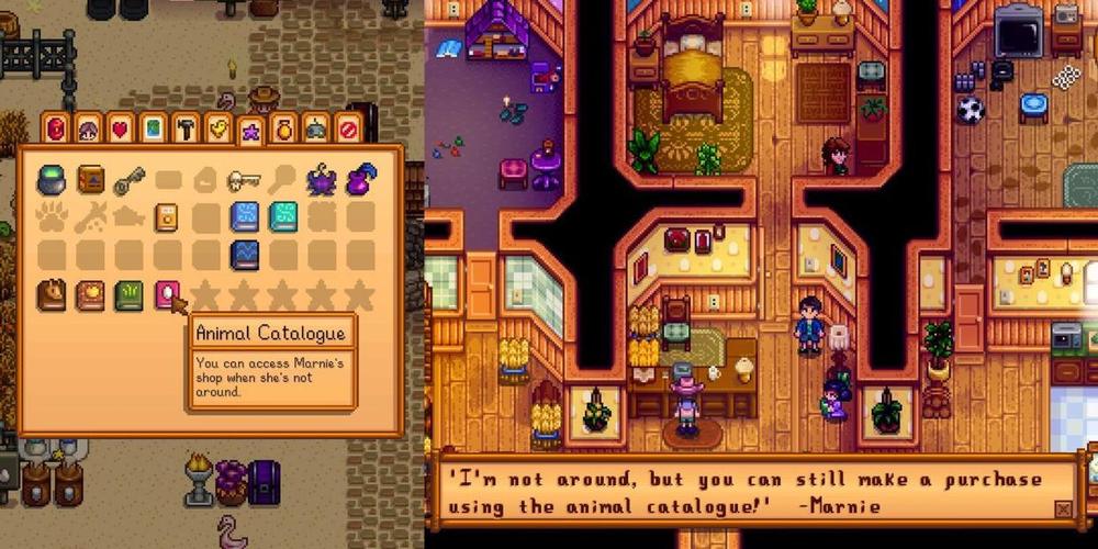 stardew valley冬季可以做什么？季节活动与种植攻略