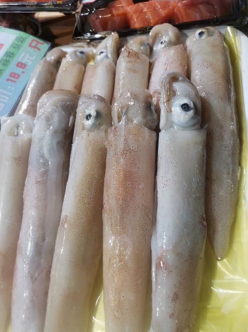 鱿鱼B25777直接进入功能有哪些？详细解析一网打尽！