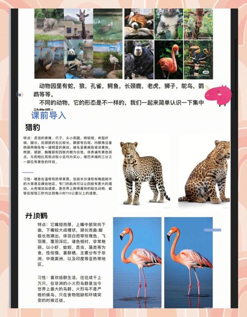 如何成为派对动物？掌握3个技巧玩转所有派对圈！
